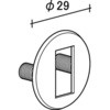 55776464