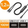 2in1 ҃P[u (USB-C to C~2) ][dP[u 1.2m PDΉ 100W }[d ϋv NXf