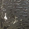 55898237,55898246,55898255,55898264,55898273,55898282