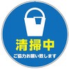 56493307