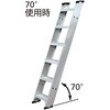 FLW2.0-300 1連はしご FLW2.0 両面使用タイプ 長谷川工業 56579626