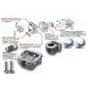 212-1128110 {AUP(SPL)50-94 TODAY KITACO 56587344