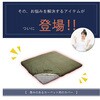 1161730126807 ӂ~Jo[ fm Jo[ OJo[ O[ 193~243cm CPqRER[|[V 56664880