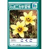 国語ノート17マス
