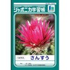ジャポニカ学習帳 B5 算数 ショウワノート