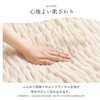 1195650140810 シュクル 寝具 ひざ掛け アイボリー 70×120cm イケヒコ・コーポレーション 56823396
