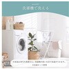 1195650140810 シュクル 寝具 ひざ掛け アイボリー 70×120cm イケヒコ・コーポレーション 56823396