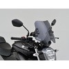 17447 EChV[h SS DAYTONA(fCgi) 56972467