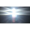 HD1000B W/W W 1000B LED drt ͂ł 57053635