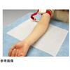 メディカルシーツK #3037RS 白 30cm×44.4m 120回分 イワツキ