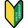 57176218