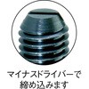 T4PJ ボールプランジャー(スチールボール) TRUSCO 57222707