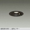 DDL-5701YB LEDダウンライト DAIKO(大光電機) 57297391