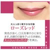 - ワンフィニッシュ フチドールリップ ローズレッド グリム 57310490