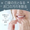 4901080248114 モンダミン スパイシーミント アース製薬 57341771