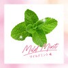 4901080247612 モンダミン マイルドミント アース製薬 57341780