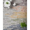 ^CJ[ybg ECOS ID-1900EP
