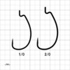 57479305