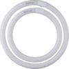 FCL32.40EX-D-XL ی`u CtbN HotaluX(z^NX) 57636758