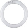 FCL30EX-D-XL-2P ی`u CtbN HotaluX(z^NX) 57636828