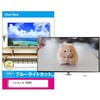 液晶保護フィルム ハイセンス 55A6H 55インチ ブルーライトカット 光沢 メディアフューチャー