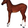 fr120043 �e�n / Foal (Not in Aus) Heinimex 57732046