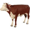 fr080125 �w���t�H�[�h�̗Y�� / Hereford Steer Heinimex 57734408