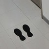 57768848