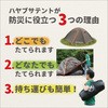 TM-501(4Zbg) hЎ nuTeg5lp Bears Rock 57854248