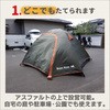TM-501(4Zbg) hЎ nuTeg5lp Bears Rock 57854248