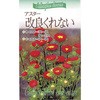 小菊
