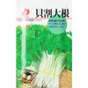 【タネ】貝割大根 福花園