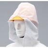 ȈՕی앞100-009zCg