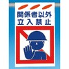 邵V