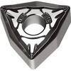 58081680,58081689