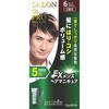 サロンドプロ EXメンズヘアマニキュア(白髪用) ダリヤ