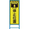 58101603