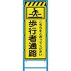 58101637
