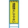 58101664