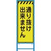 58101813