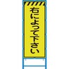 58101829
