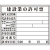 58102285
