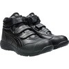 EBWu CP312