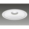 高天軒下DL1500形Φ400広角5000K Panasonic(パナソニック)