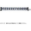 フィッシュメジャー テイルウォーク