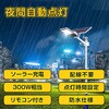 58139466