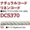 58170385