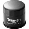 OIL FILTER， OES T1218001 Triumph
