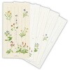 一筆箋 野の草花II 日本ホールマーク