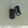 DOL-4407YBE アウトドアライト/スポットライト/非調光 一般タイプ DAIKO(大光電機) 58705897